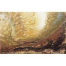 Collisione solare, 1992